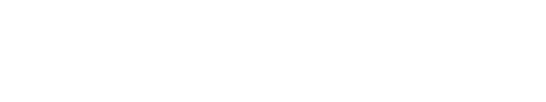 flowspace logo